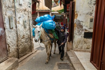 De steegjes zijn nog smaller dan in Tangiers, en dus kunnen ze alleen bevoorraden met ezels of paarden.