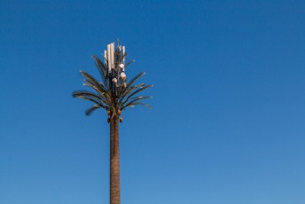 Een geinig detail in Marrokko vond ik de GSM masten die ook dienst doen als palmboom.