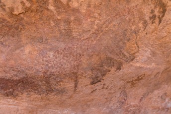 ...duizenden jaren oude grottekeningen te bekijken. Dit is de mooiste giraffe van Mauritanië.