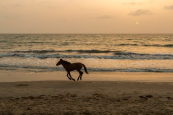 Gelukkig rende er een paard over het strand toen ik de de zonsondergang ging fotograferen. Levert toch weer een paar extra likes op.
