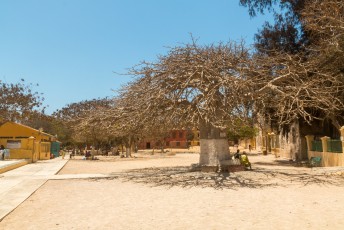 Het dorpsplein met een baobab boom.