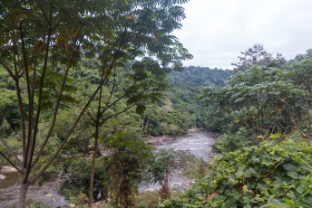 Dit is de Ogooué rivier in de buurt van Ndjolé.