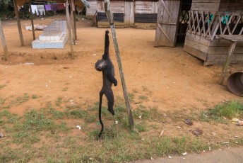 Terwijl ik verder reed naar het zuiden kwam ik erachter dat ze in Gabon langs de kant van de weg broodjes aap verkopen.