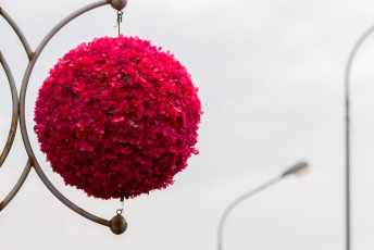 Er hingen overal kleurige bollen met kunstbloemen aan de lantaarnpalen.