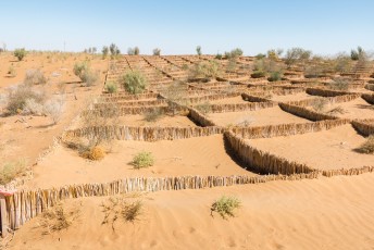 Onderweg door de eindeloze woestijn in Oezbekistan zagen we regelmatig deze uit riet opgetrokken ruitjespatronen. Wie weet waar dit voor dient?