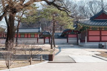 Na 3 jaar en twee weken sta ik weer voor de poorten van Changdeokgung Palace.