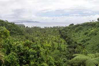 Het uitzicht vanuit het Bouma national park op het Qamea eiland.