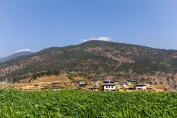 Als men trouwt in Bhutan dan gaat de man normaal gesproken bij zijn nieuwbakken vrouw en familie inwonen.