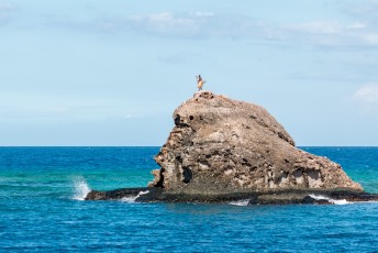 Bij één resort worden de nieuwe gasten verwelkomd met een dansje op een rots midden in zee.