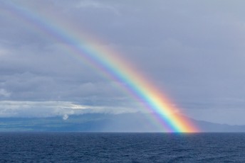 Toen we de ferry terug naar Viti Levu namen zagen we eindelijk de Rainbow vanuit de Somosomo strait opstijgen.
