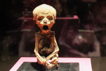 lijkje in het mummy museum