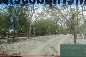 Waarna we via het mangrovebos aankomen bij.....