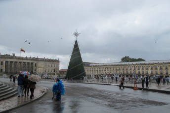 Samen gingen we o.a. de kerstboom voor het parlement bekijken.