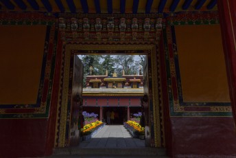 Op onze laatste dag in Lhasa bezochten we het zomerpaleis van de Dalai Lama.