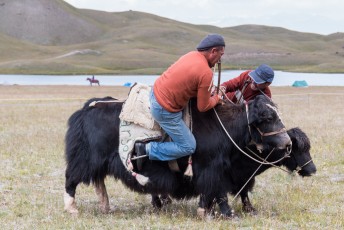Na de pauze ging het verder met het onderdeel 'elkaar van de yak af duwen/trekken'.