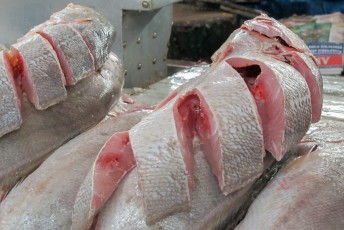 In de ver-o-peso (=bekijk het gewicht) wordt elke dag de verse vis verhandeld.