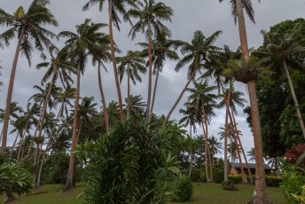 De tuin van ons hotel, het was elke dag een kwestie van zigzaggen om de kokosnoten te ontwijken.