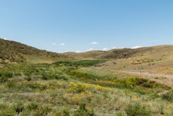 De dag dat we naar Kirgizië gingen bezochten we vlak bij de grens nog deze site met petroglyfen.