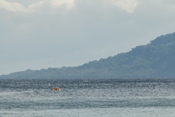 Weer terug op Guadalcanal eiland, zagen we de boot met vers opgepikte toeristen in de golven verdwijnen.