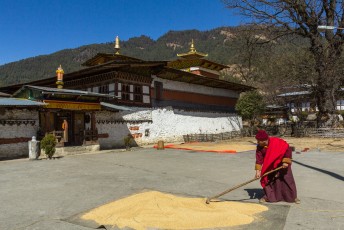 Één van de oudste kloosters van Bhutan, Tamshing Lhakhang. Binnen ligt een metalen vest van 25 kilo dat je om moet hangen en dan drie rondjes om het altaar lopen zodat je zonden worden gereinigd. Gebouwd door Pema Lingpa de ontdekker van schatten.