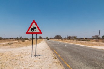 Tijdens mijn reis heb ik al heel wat dieren op waarschuwingsborden zien staan, maar dit is de eerste olifant.