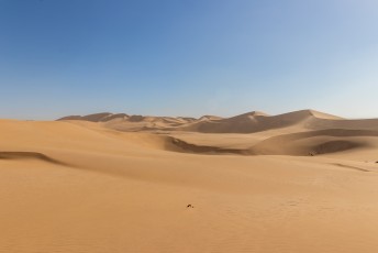 Ik dacht leuk, net als in Merzouga-Marokko lekker met een quad door de duinen raggen.