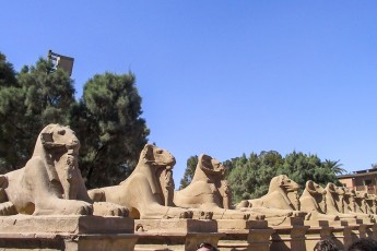 Dus ging ik een dagje naar Luxor. Dit zijn de sfinxen van Nectanebo.