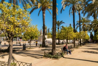 Vanuit het parkje ervoor zie je in de verte de beroemde moskee-kathedraal van Córdoba al.